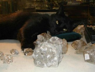 Buddy laying by Herkimer Diamonds